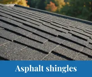 Agregar-un-titulo-13_1_11zon