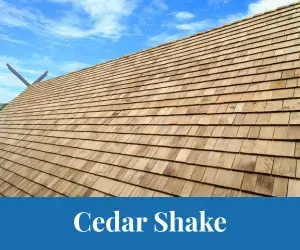 Agregar-un-titulo-20_4_11zon